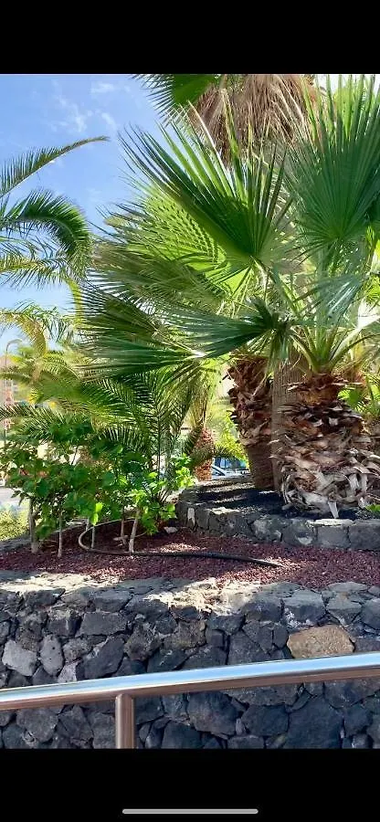 138 Los Angeles, Los Cristianos Close To The Ocean Apartment Los Cristianos (Tenerife)