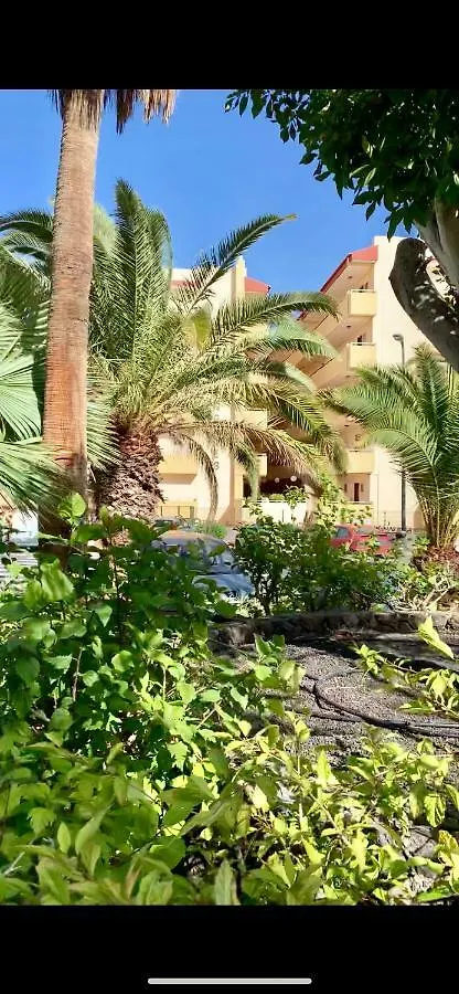 138 Los Angeles, Los Cristianos Close To The Ocean Daire  Los Cristianos (Tenerife)